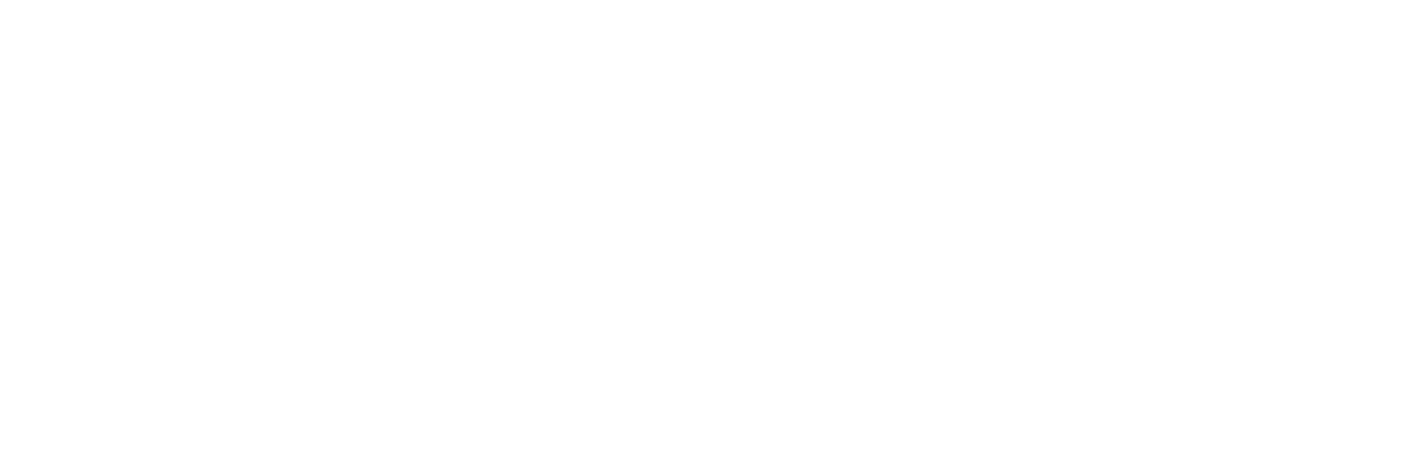 Fusion Skin Logo
